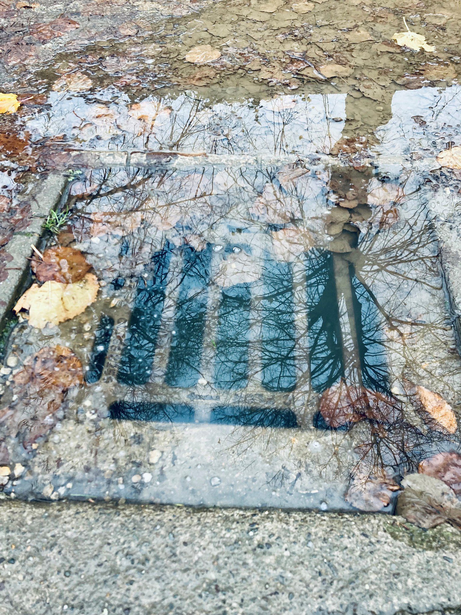 a sheet of ice covering a drain