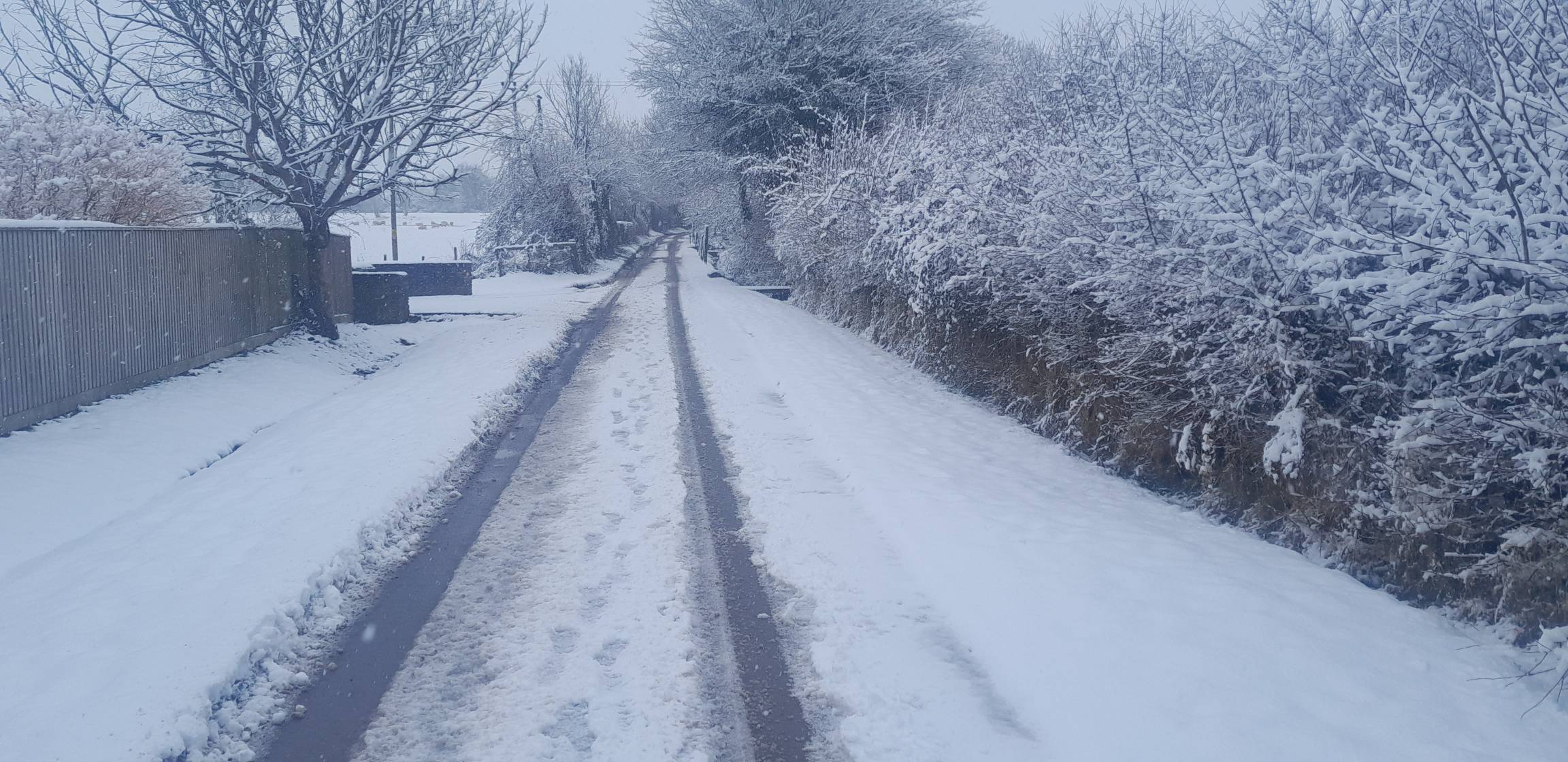 a snowy road with marks in the snow made by a van